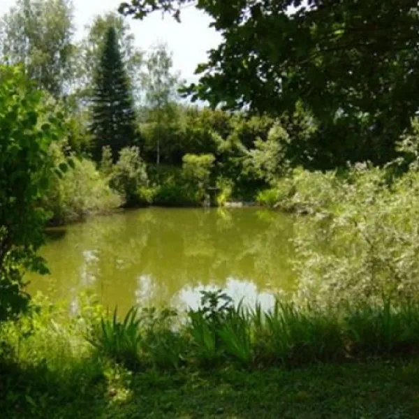 camping-murinsel-grolobming-eqqgn