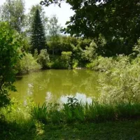 camping-murinsel-grolobming-eqqgn