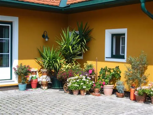camping-murinsel-grolobming-xrlzo