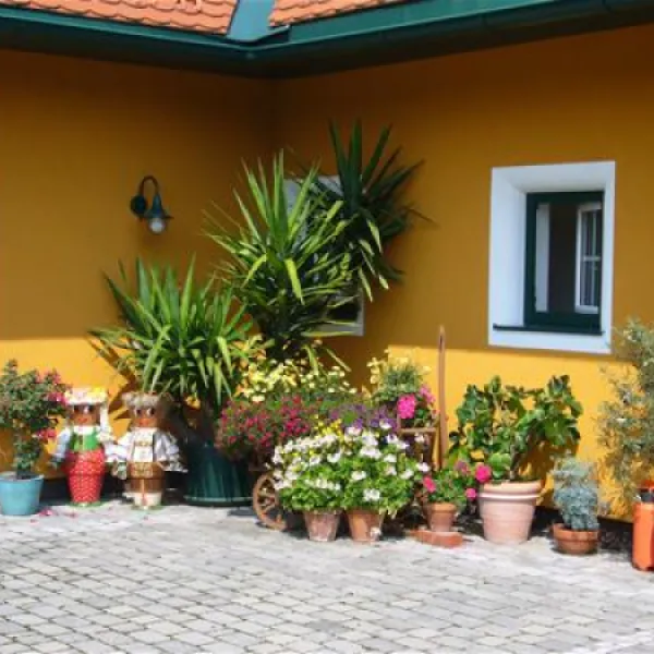 camping-murinsel-grolobming-xrlzo