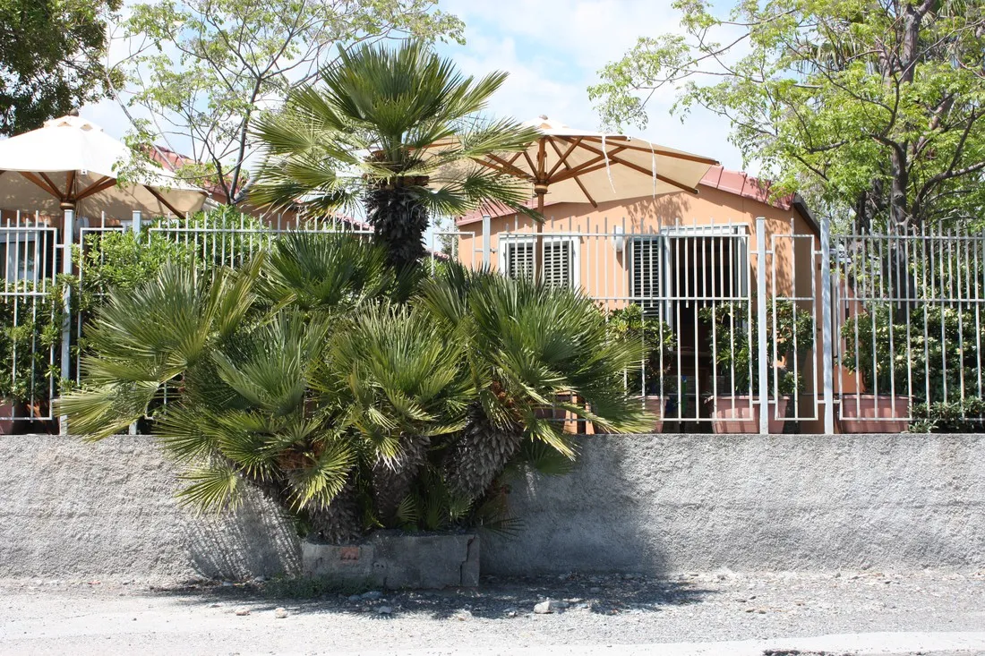 campeggio-del-mare-cervo-ajmen