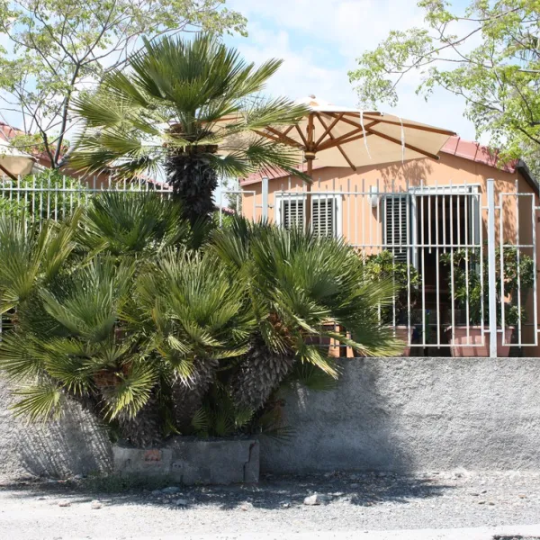 campeggio-del-mare-cervo-ajmen