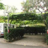 campeggio-del-mare-cervo-qgtxj
