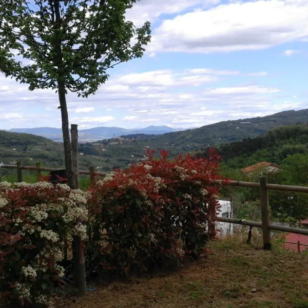 campeggio-belsito-montecatini-uj3on