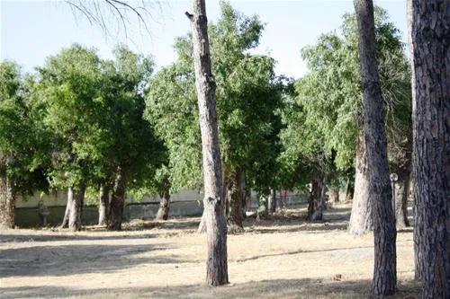 villaggio-camping-bellino-catanzaro-3btrh