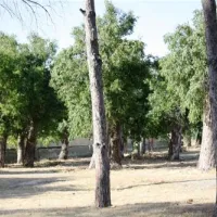 villaggio-camping-bellino-catanzaro-3btrh