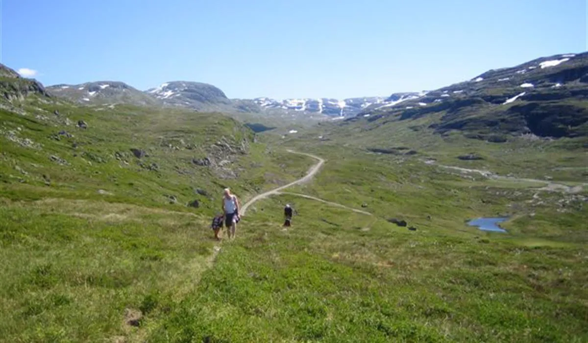 seim-camping-rldal-pqcqw