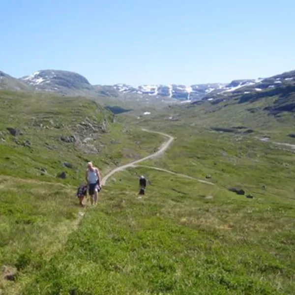seim-camping-rldal-pqcqw
