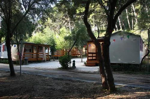 campeggio-baia-calenella-vico-del-gargano-waol0