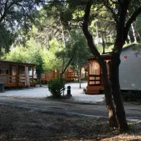 campeggio-baia-calenella-vico-del-gargano-waol0