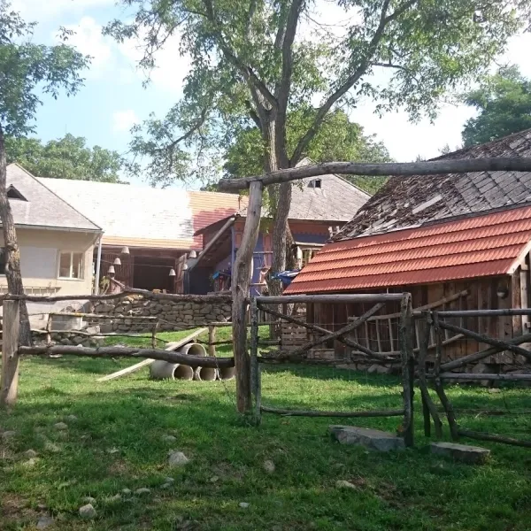 camping-dobr-lka-zajezov-jdoez