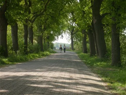 nordsee-campingplatz-rennweide-dangast-varel-dangast-s9wz2