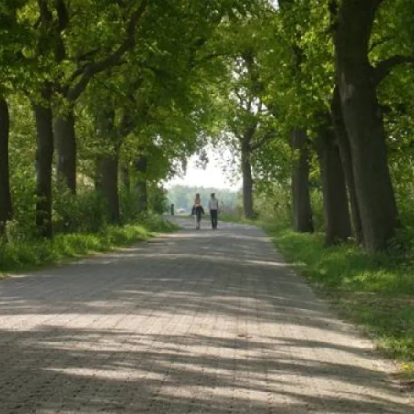 nordsee-campingplatz-rennweide-dangast-varel-dangast-s9wz2