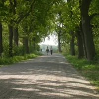 nordsee-campingplatz-rennweide-dangast-varel-dangast-s9wz2