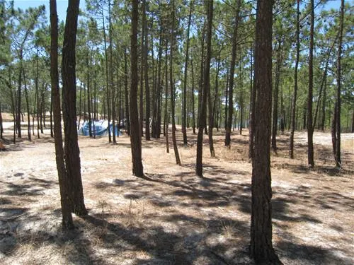 parque-de-campismo-da-praia-da-gal-melides-dpiix