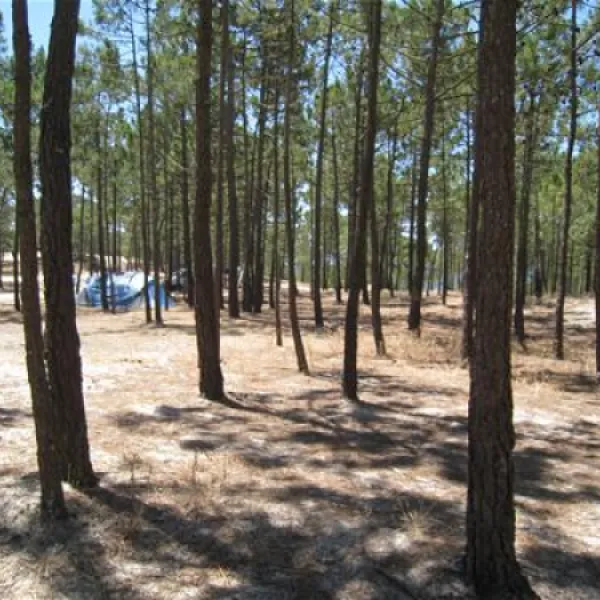 parque-de-campismo-da-praia-da-gal-melides-dpiix