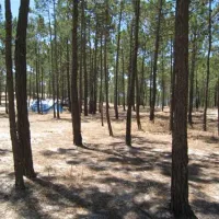 parque-de-campismo-da-praia-da-gal-melides-dpiix