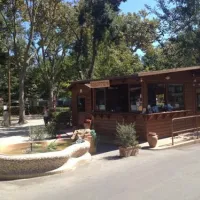 camping-village-international-st-michael-pisa-6wnbi