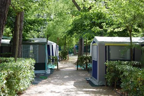 camping-village-international-st-michael-pisa-c0njb