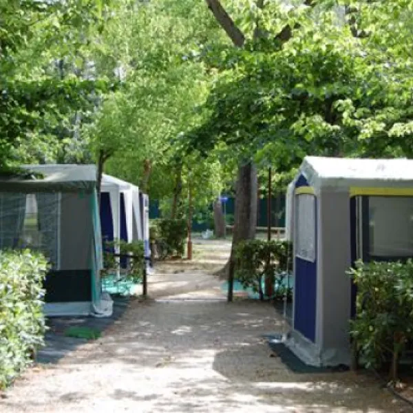 camping-village-international-st-michael-pisa-c0njb