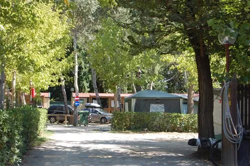 camping-village-international-st-michael-pisa-dpts3