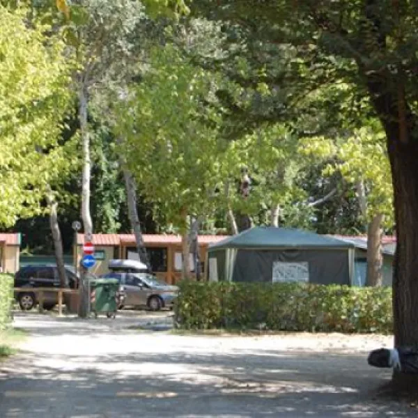 camping-village-international-st-michael-pisa-dpts3