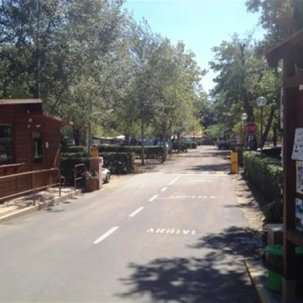 camping-village-international-st-michael-pisa-teons
