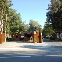 camping-village-international-st-michael-pisa-ztqp1