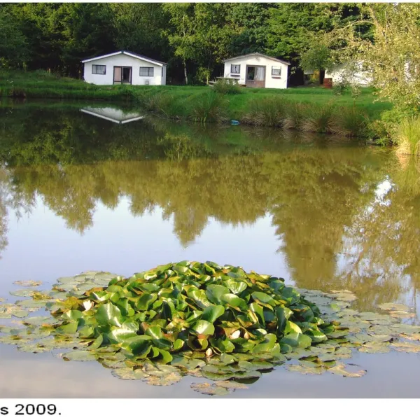 camping-les-3-sources-bivre-lkijq