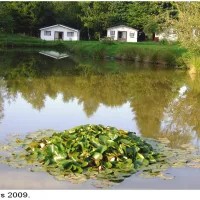camping-les-3-sources-bivre-lkijq