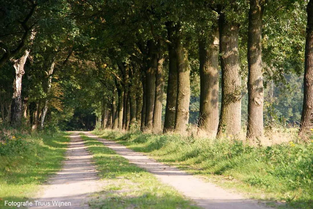 camping-de-kei-lichtenvoorde-6xmce