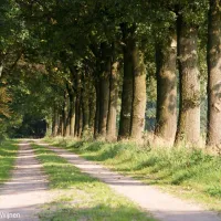 camping-de-kei-lichtenvoorde-6xmce