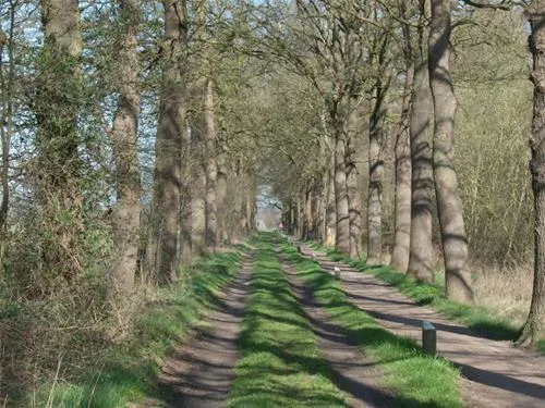 camping-de-kei-lichtenvoorde-clmqh