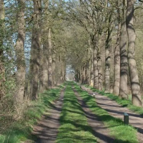 camping-de-kei-lichtenvoorde-clmqh