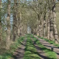 camping-de-kei-lichtenvoorde-clmqh