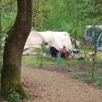 Camping Harskamperdennen