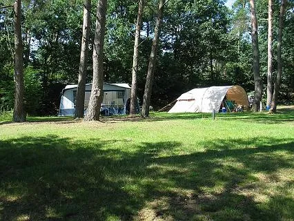camping-harskamperdennen-kootwijk-h5ars