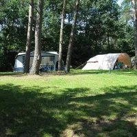 camping-harskamperdennen-kootwijk-h5ars