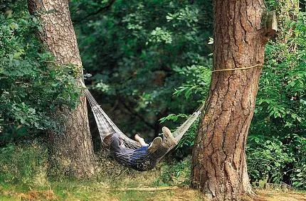 camping-harskamperdennen-kootwijk-izubv