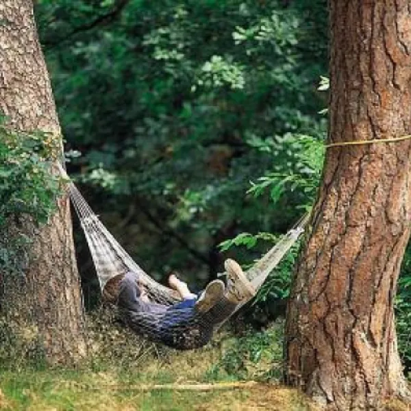 camping-harskamperdennen-kootwijk-izubv