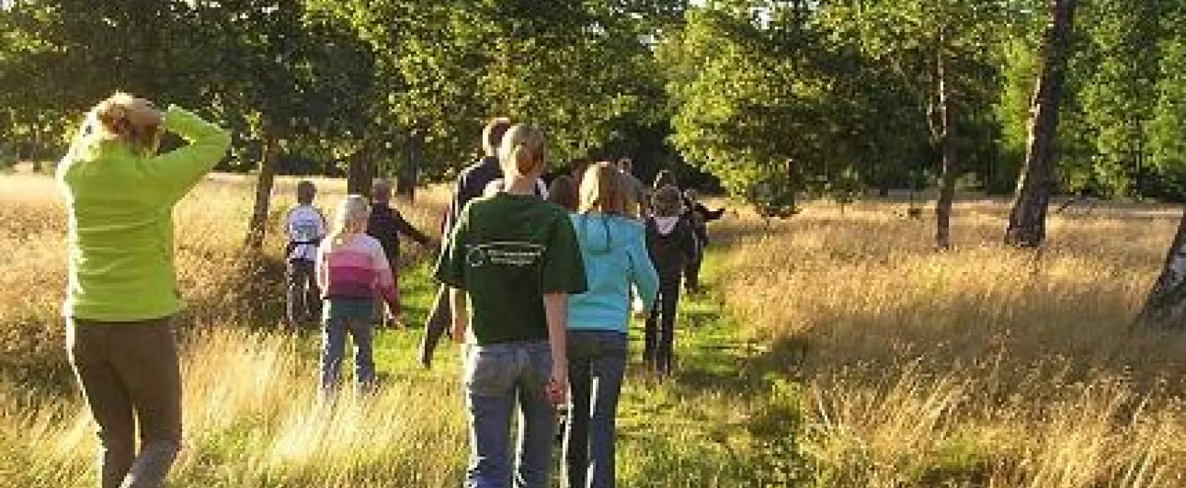 Camping Harskamperdennen