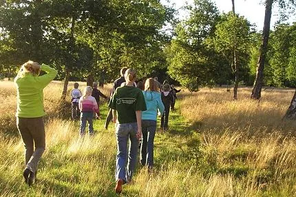 camping-harskamperdennen-kootwijk-u1veg