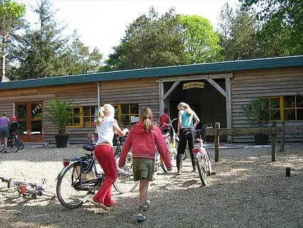camping-harskamperdennen-kootwijk-u9gfw