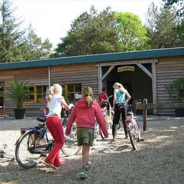 camping-harskamperdennen-kootwijk-u9gfw