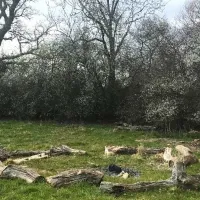peel-house-farm-caravan-park-polegate-ywc7c