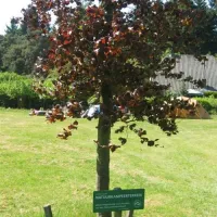 camping-jena-hummelo-lpsj6