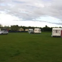 forget-me-not-country-park-morpeth-tlzux