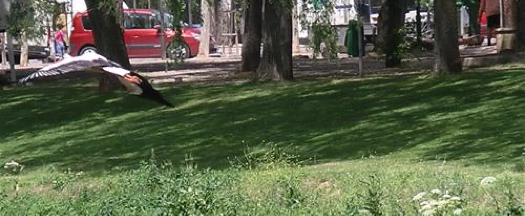 Camping el Ruedo
