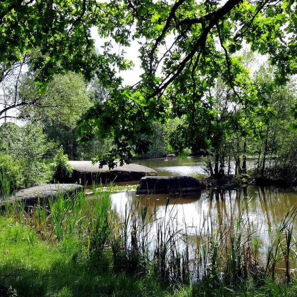 camping-waldenstein-waldenstein-bhmwe