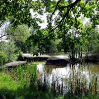 camping-waldenstein-waldenstein-bhmwe